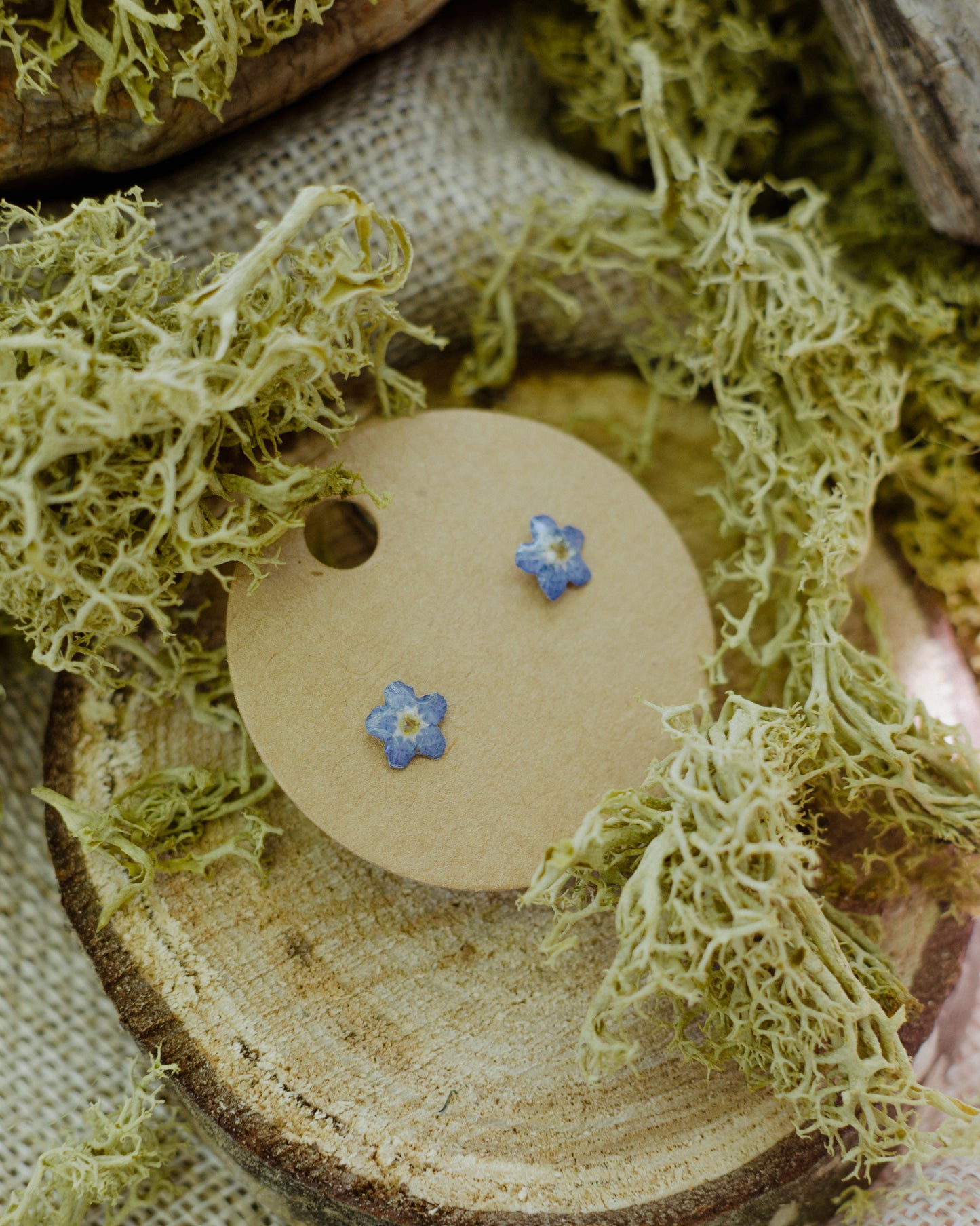 Pendientes nomeolvides mini