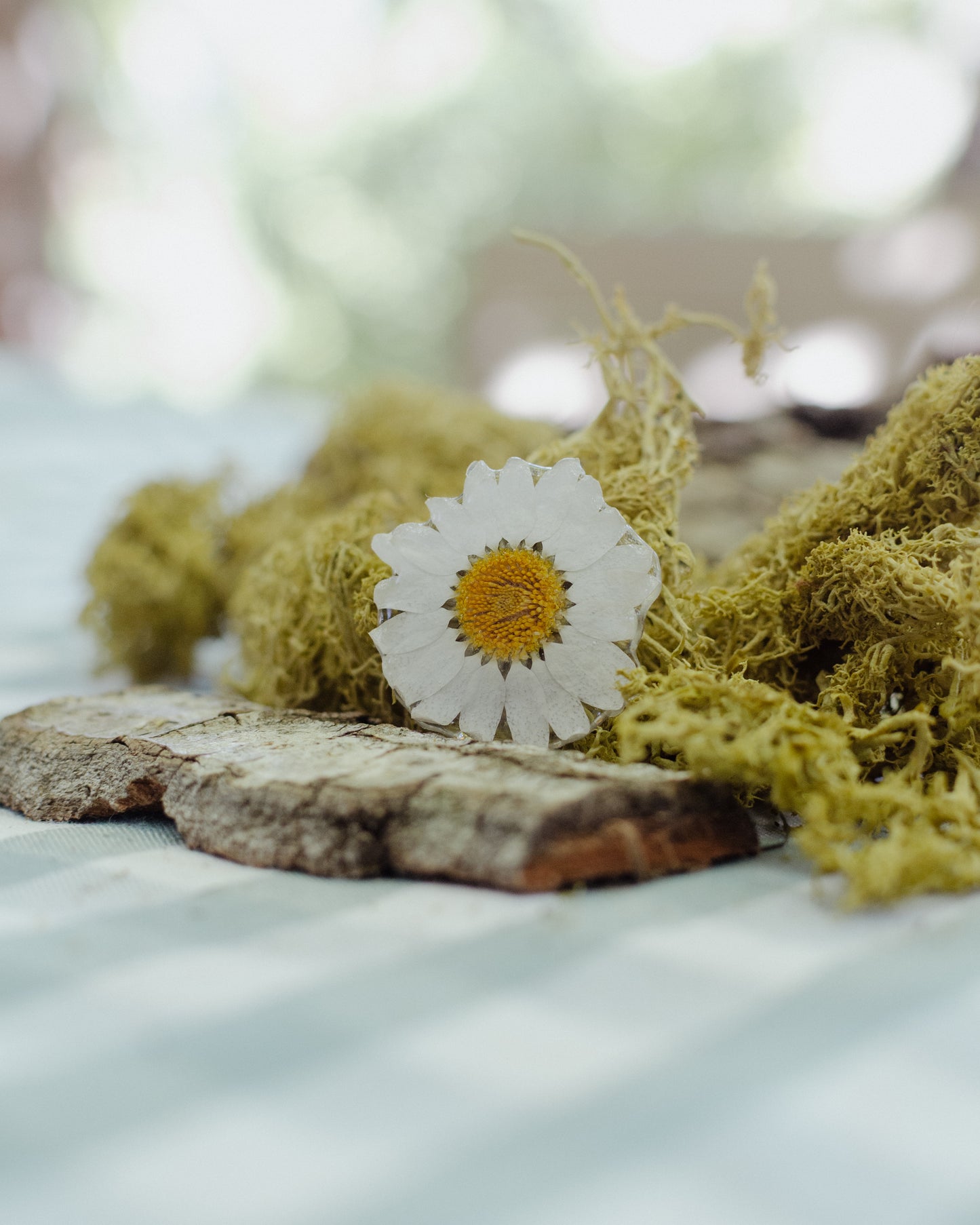 Broche margarita