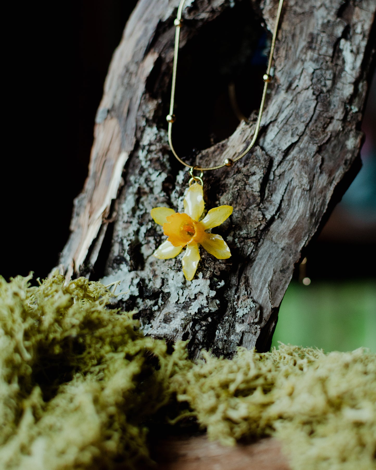 Collar narciso