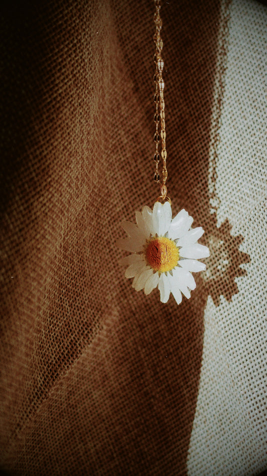 Collar margarita