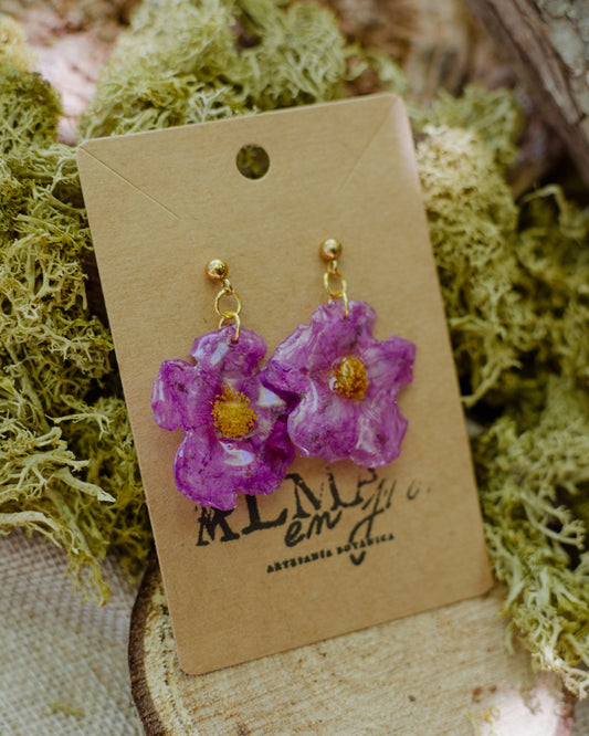 Pendientes jara salvaje