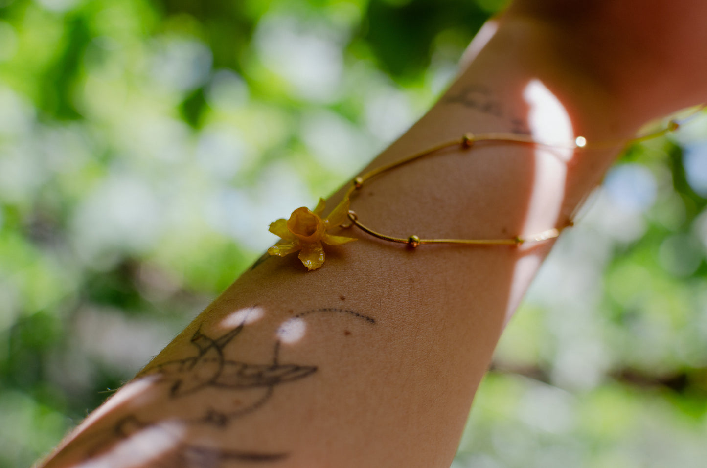 Collar de narciso mini salvaje