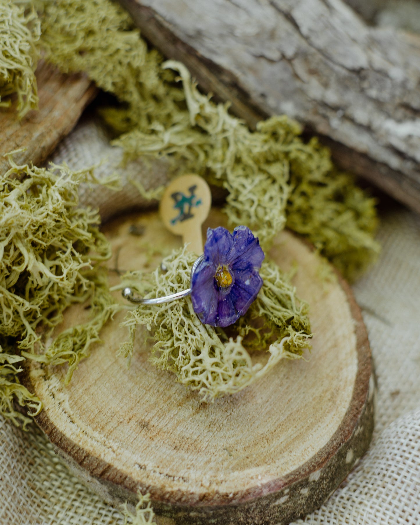 Anillo dulcamara