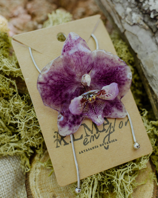 Gargantilla con cadena corrediza Orchidaceae