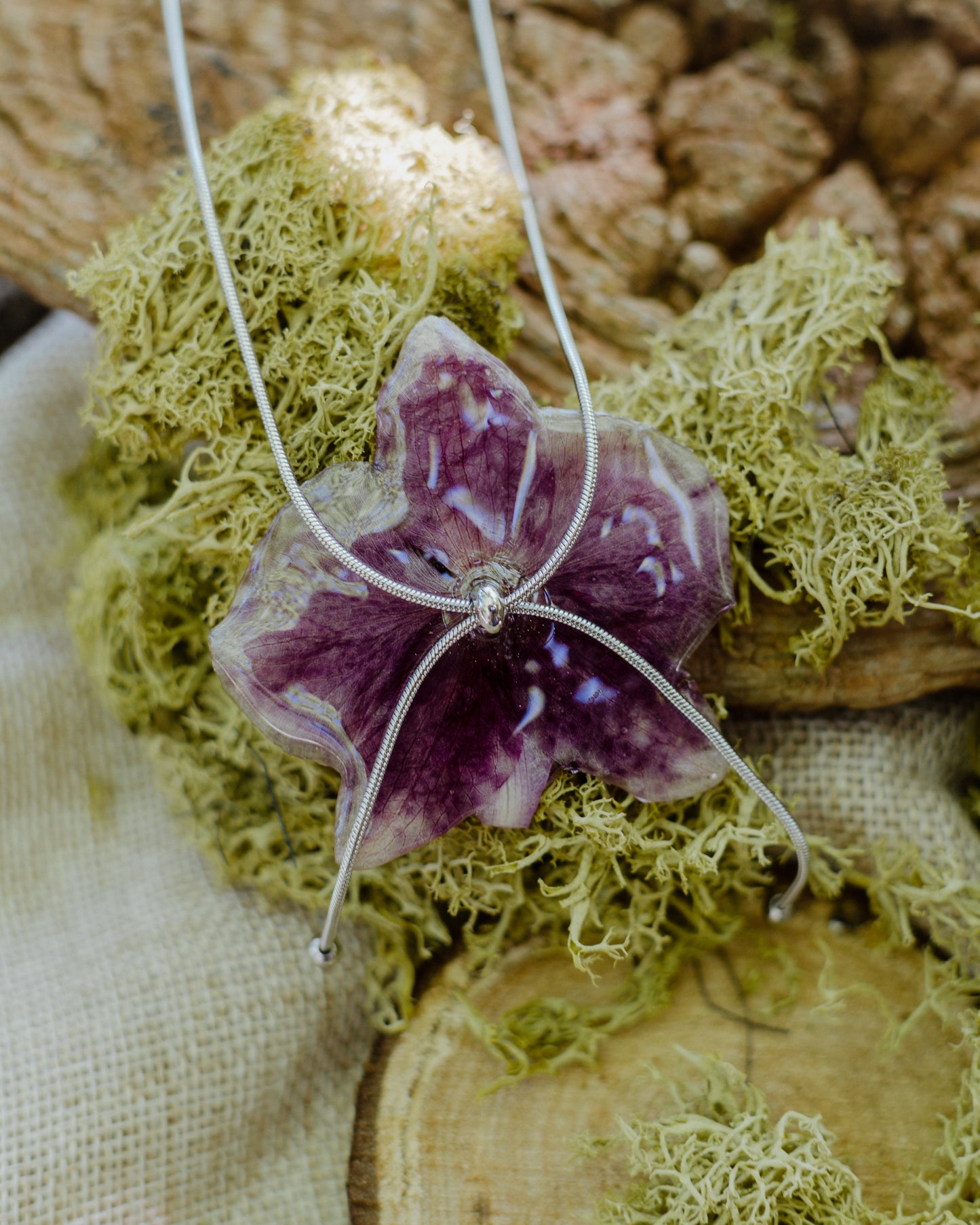 Gargantilla con cadena corrediza Orchidaceae