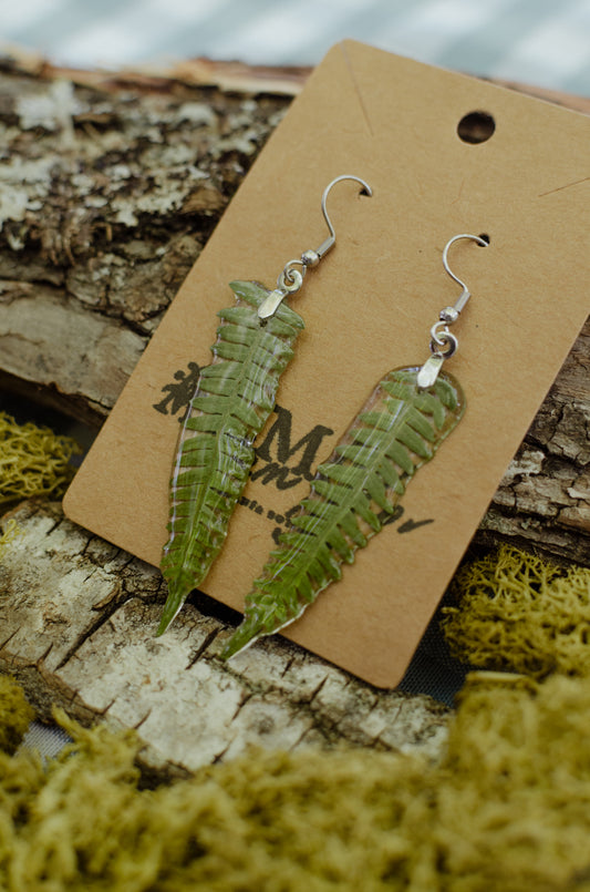 Pendientes helecho