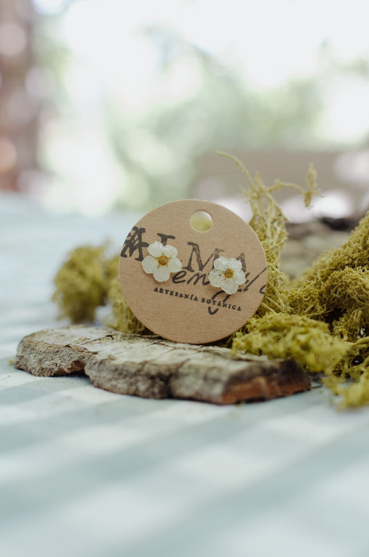 Pendientes mini de flor blanca