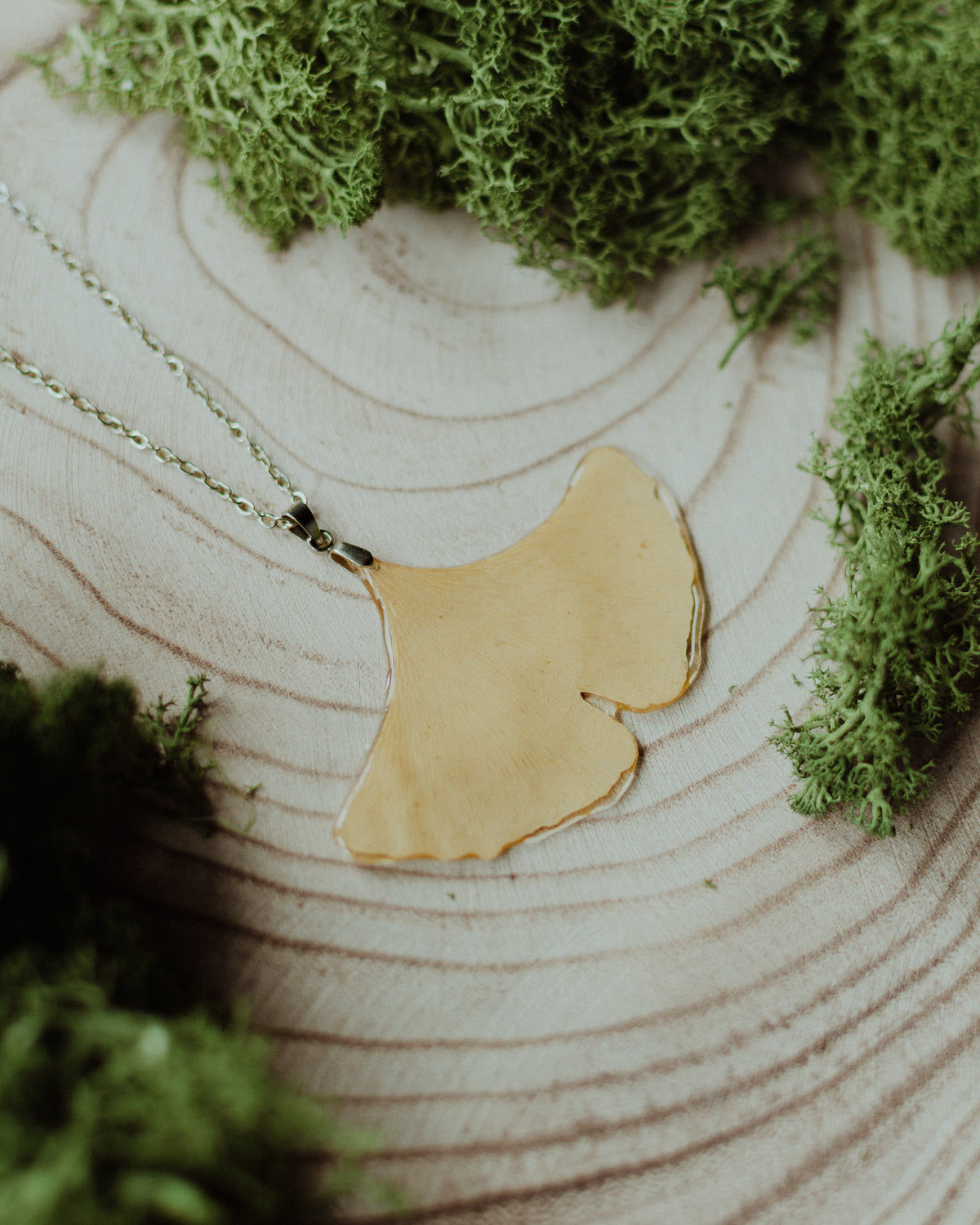 Collar hoja de Ginkgo