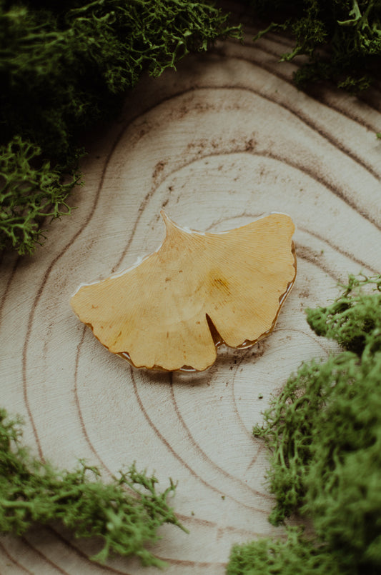 Broche ginkgo