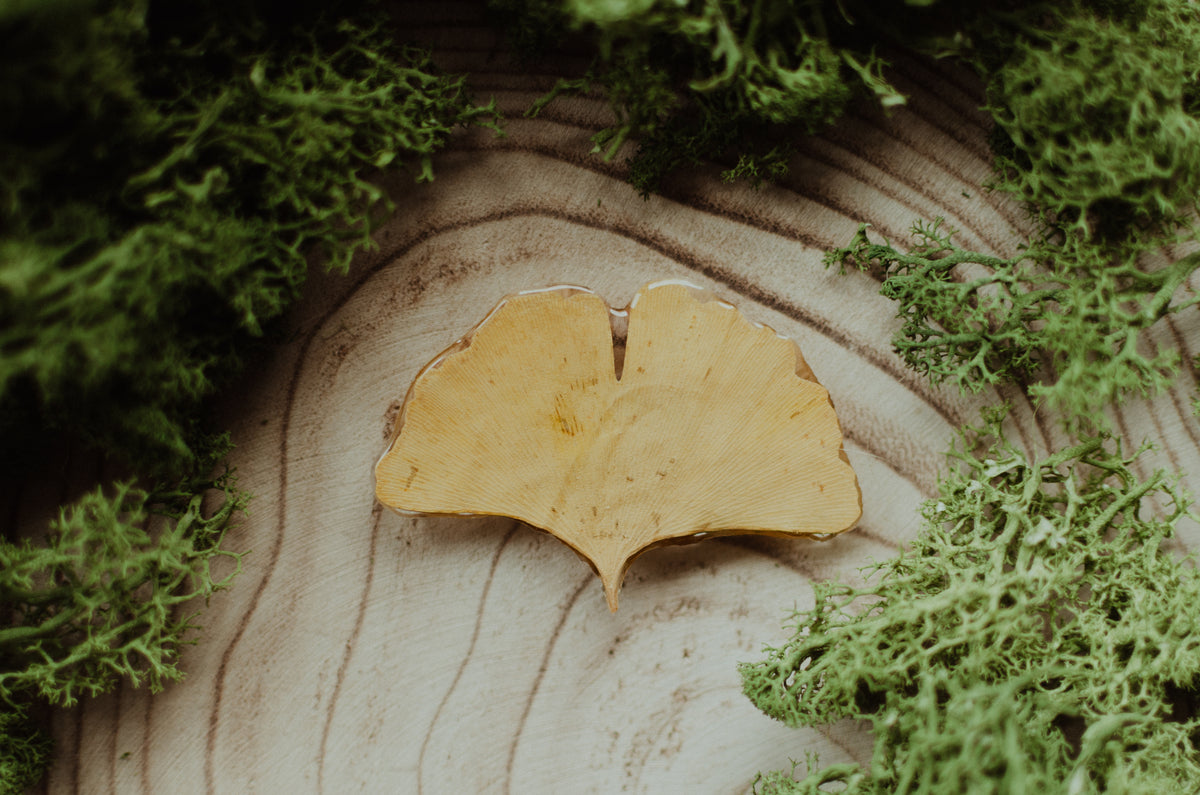 Broche ginkgo