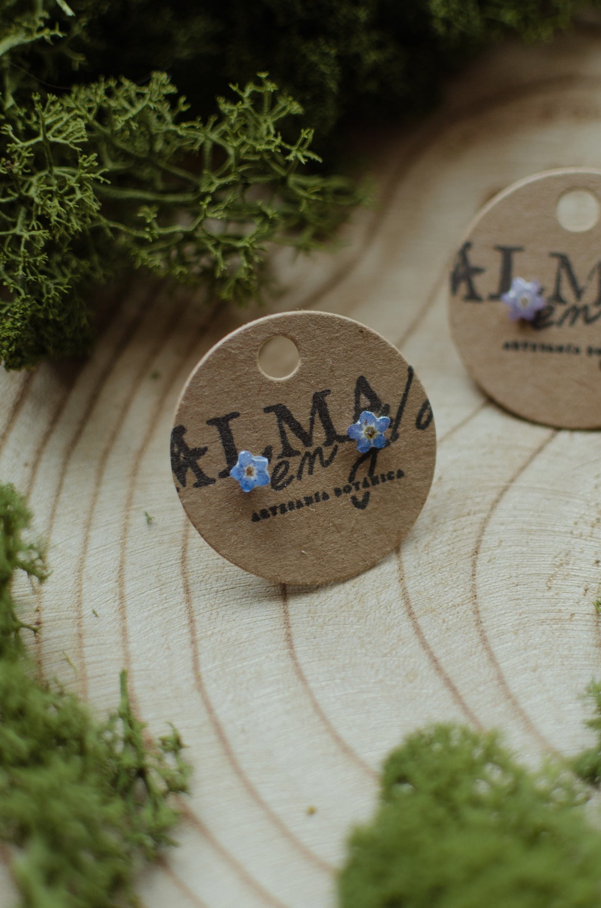 Pendientes nomeolvides mini