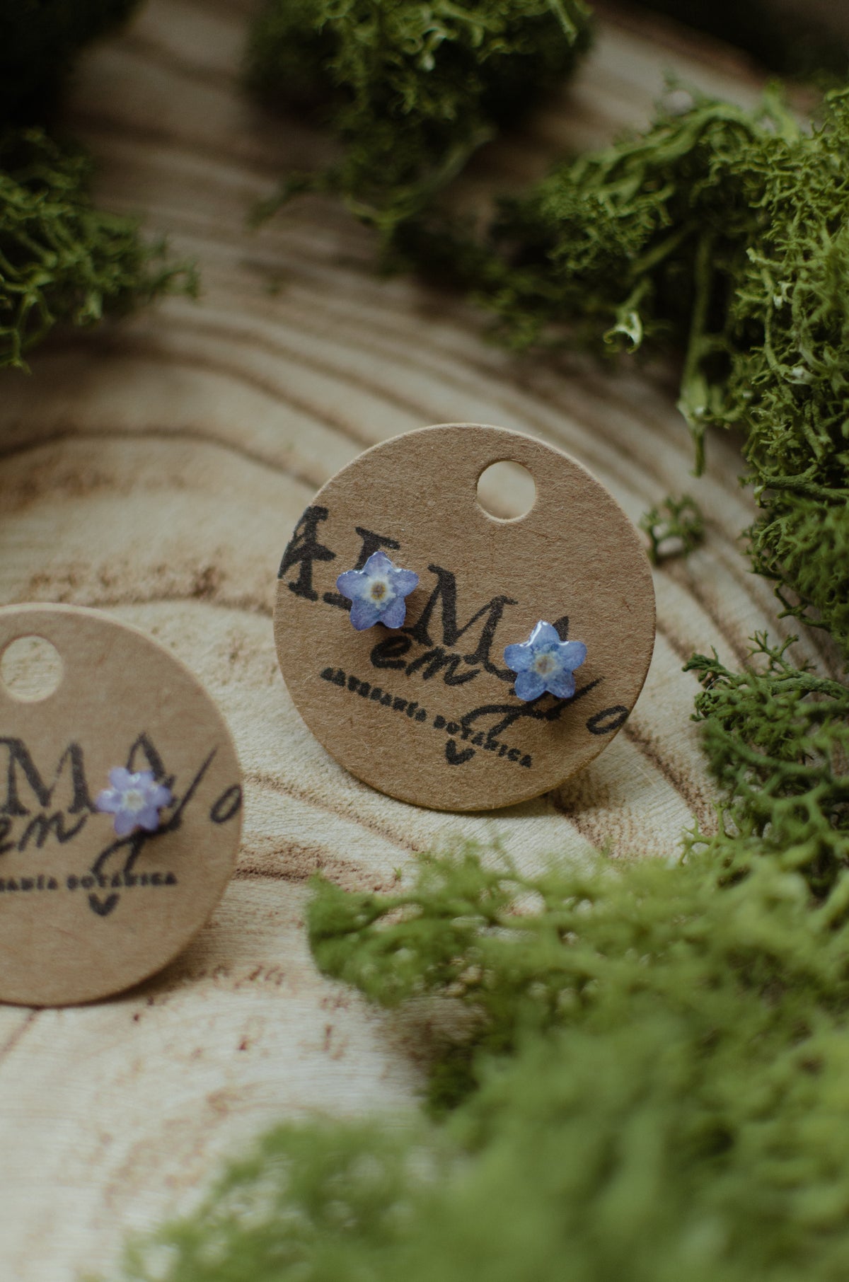 Pendientes nomeolvides mini