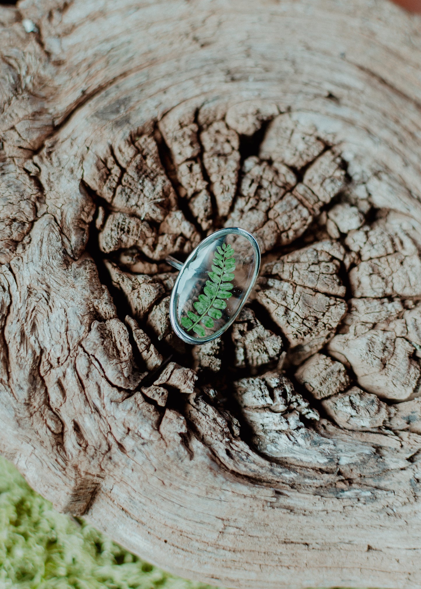 Anillo óvalo helecho mini